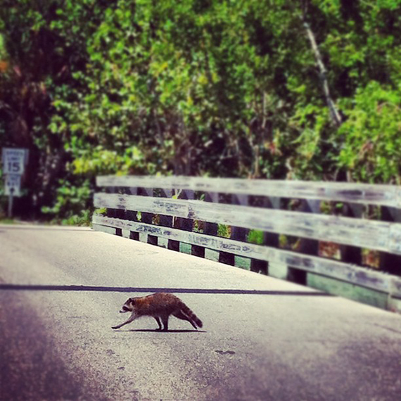 Sanibel Island