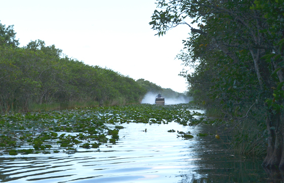 tour en air boat