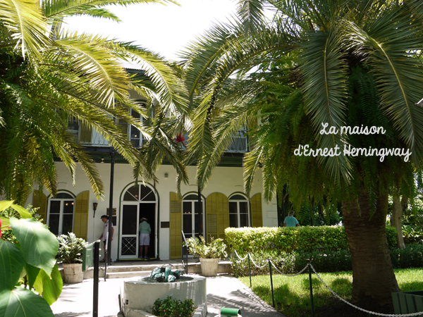 maison d'ernest hemingway