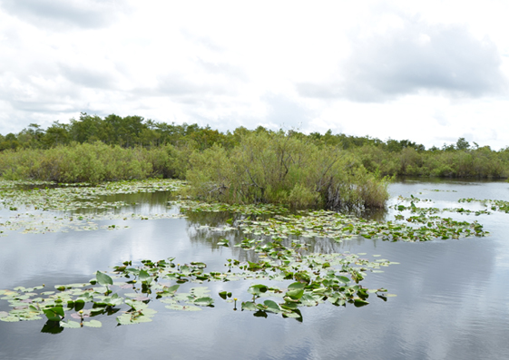 parc everglades