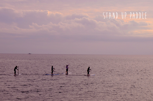 stand up paddle