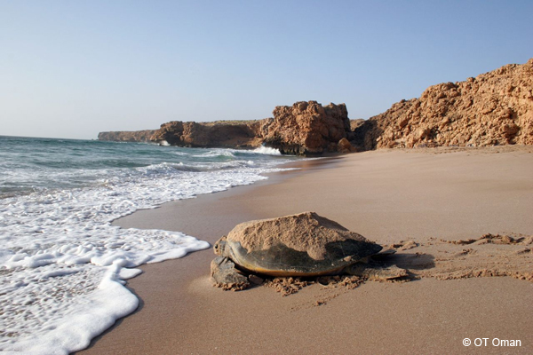 plage oman