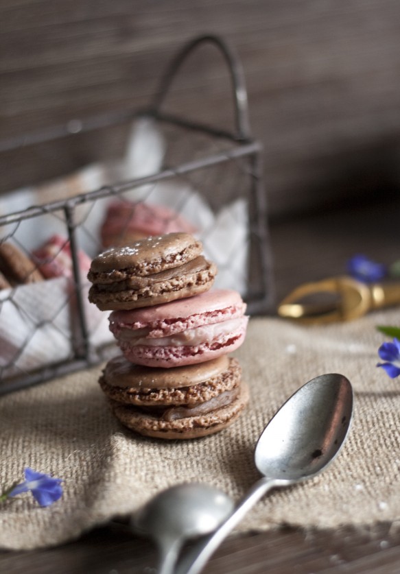 macarons chocolat framboise