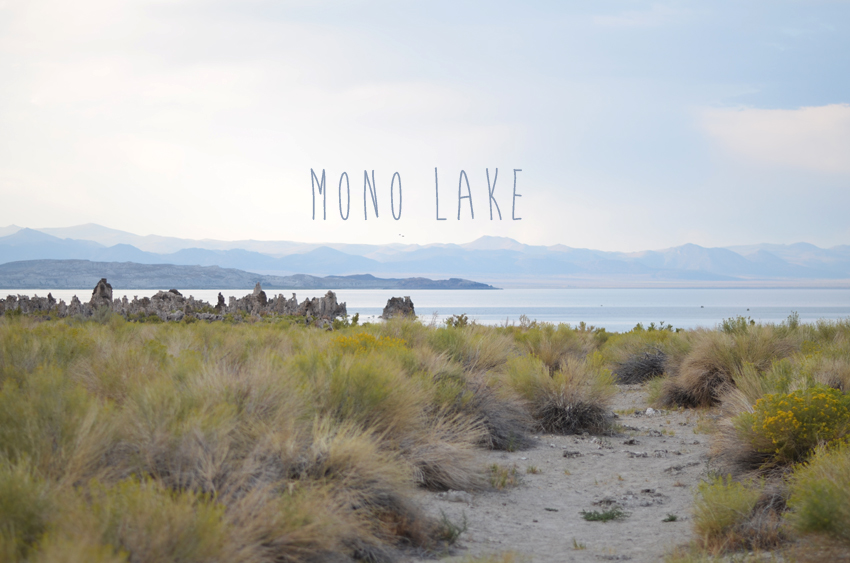 mono lake