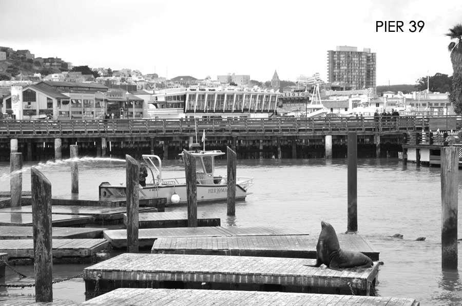 pier39